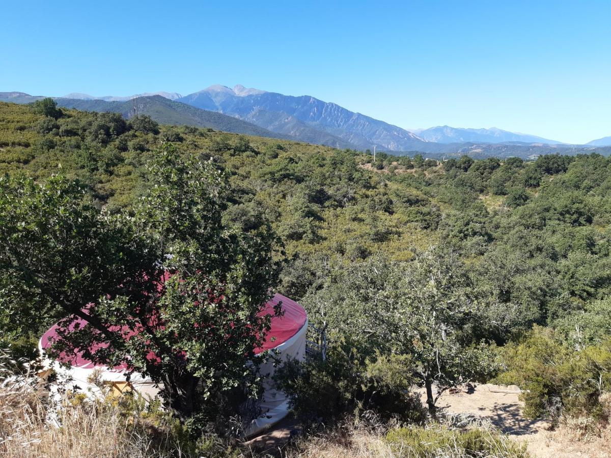 Yourte Contemporaine Avec Magnifique Vue Sur Les Montagnes Rigarda エクステリア 写真